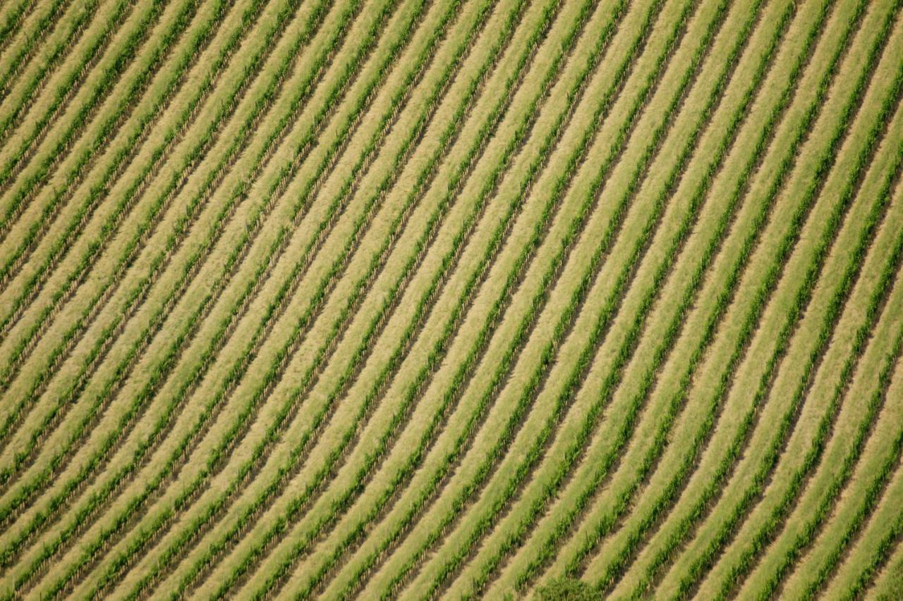 Cugusi Bnb Montepulciano Bagian luar foto